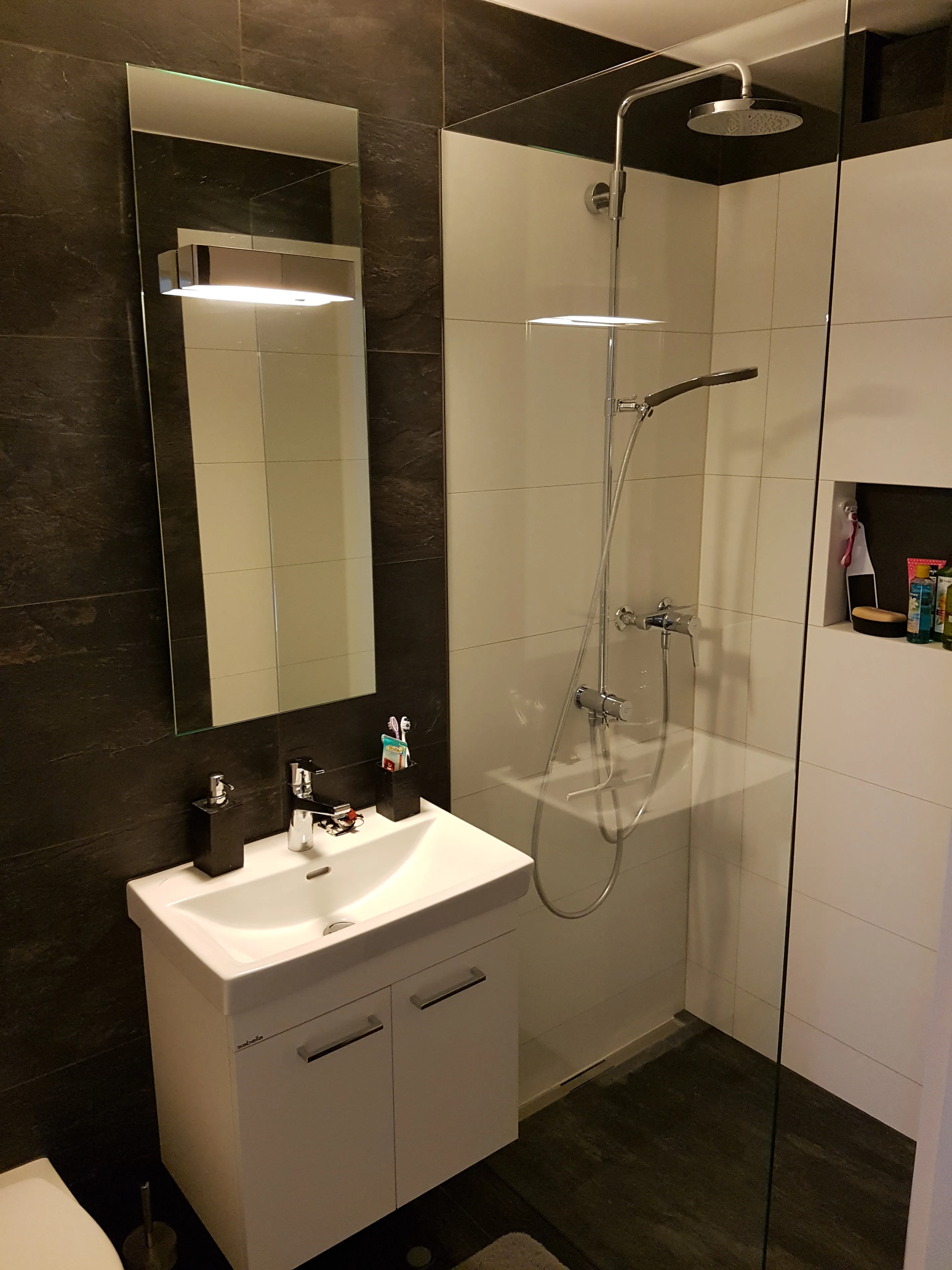 Réalisation salles de bain  -  F. Da Silva Sàrl
